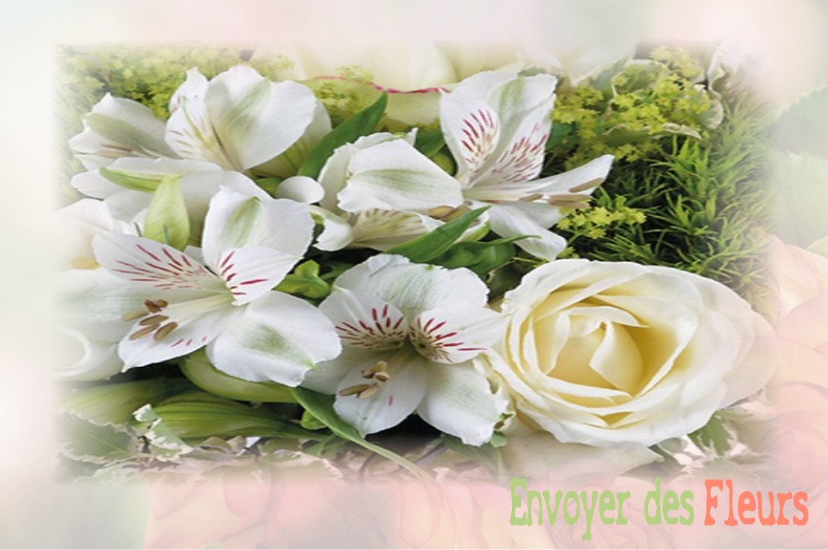 envoyer des fleurs à à VILLERS-SOUS-FOUCARMONT